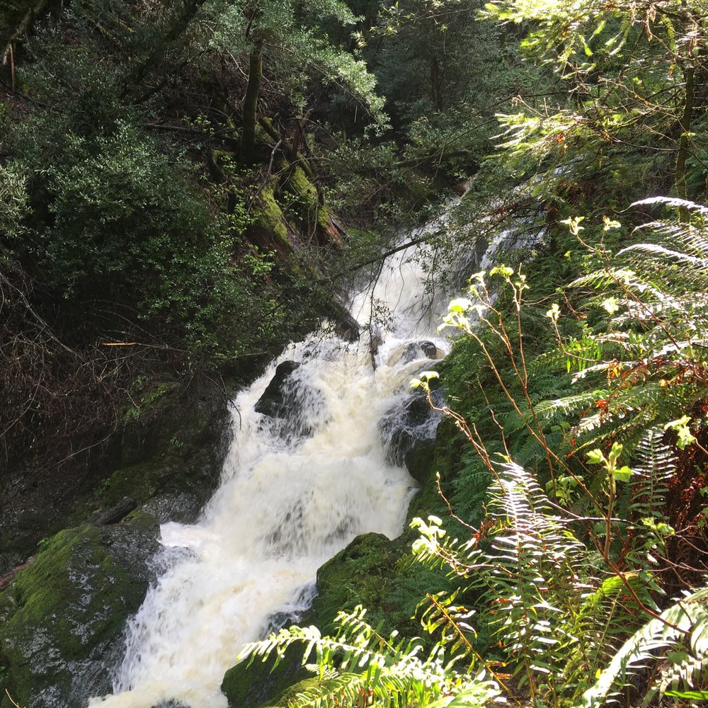 Cataract Falls Trail - Hiking Near Me Cataract Falls Trail - Hiking Near Me