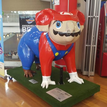 Timezone Gold Coast - Mario as a Koala! - Photography Stores & Services Near Me - Surfers Paradise, QLD