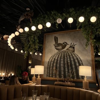 Wren & Wolf - Cocktail Bars Near Me - Phoenix, Arizona Wren & Wolf - Cocktail Bars Near Me - Phoenix, Arizona