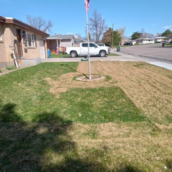 Pro Lawn Tech - Power raking /dethatching - Lawn Services Near Me Pro Lawn Tech - Power raking /dethatching - Lawn Services Near Me