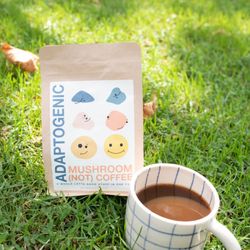 Fermensch Kombucha - Adaptogenic Mushroom (Not) Coffee