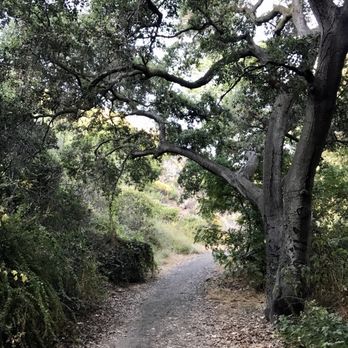 Westridge-Canyonback Wilderness Park - Hiking Near Me - Encino, California Westridge-Canyonback Wilderness Park - Hiking Near Me - Encino, California