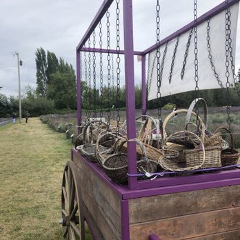 Lavender Connection - baskets - Gift Shops Near Me - Sequim, Washington Lavender Connection - baskets - Gift Shops Near Me - Sequim, Washington