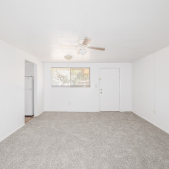 Madison on 20th - Carpeted Livingroom. - Apartments Near Me - Gainesville, Florida