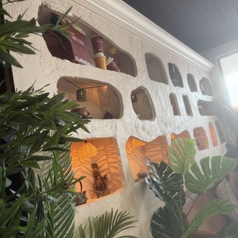 OouCha - Cafes Near Me - Pinellas Park, Florida