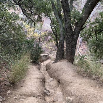 Black Star Canyon Trail - Unclear path towards the fall - Hiking Near Me - Orange, California