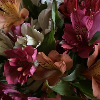 Dream Petals Floral - Day 6 - Florists Near Me - Allen, Texas