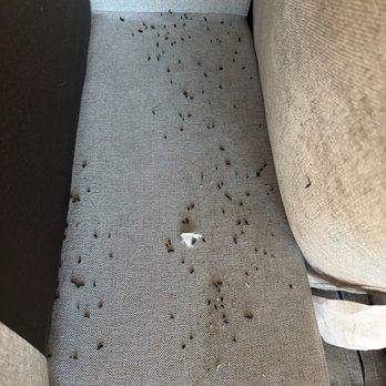Public Storage - Rodent droppings - Self Storage Near Me - Sacramento, California
