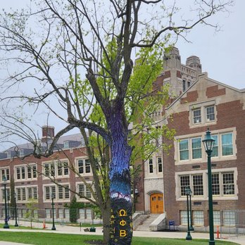 SUNY Geneseo - The Painted Tree - Colleges & Universities Near Me - Geneseo, New York SUNY Geneseo - The Painted Tree - Colleges & Universities Near Me - Geneseo, New York