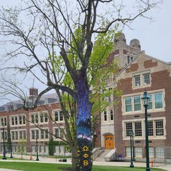 SUNY Geneseo - The Painted Tree