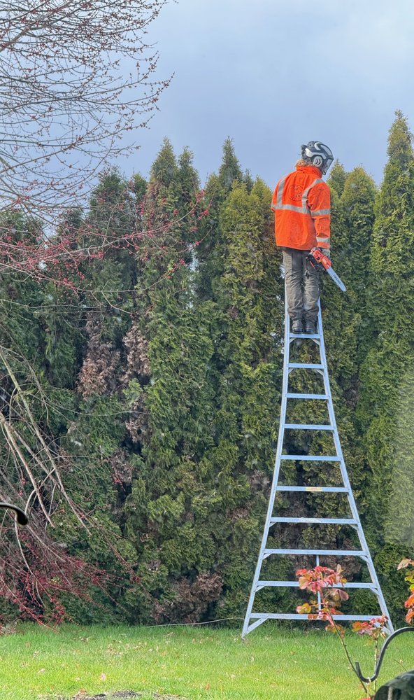 Sperry Tree Care - tree service in Eugene, OR