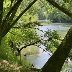 Elsie Holmes Nature Park