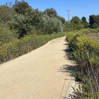 Colorado Lagoon - The walking path... usually well maintained and even. - Swimming Pools Near Me - Long Beach, California