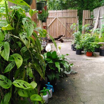 Baton Rouge Succulent - Home & Garden Near Me - BATON ROUGE, Louisiana Baton Rouge Succulent - Home & Garden Near Me - BATON ROUGE, Louisiana
