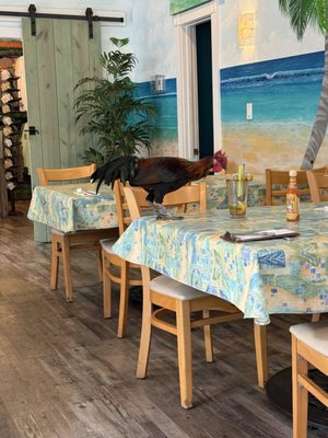 Rams Head Southernmost by null