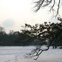 Photo of Großer See an der Badenburg