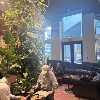 Devoción - Coffee & Tea Near Me - New York, New York