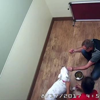 Camp Bow Wow - Tim, the owner and Michael a camp counselor hand feeding my dog - Pet Sitting Near Me - Fort Worth, Texas