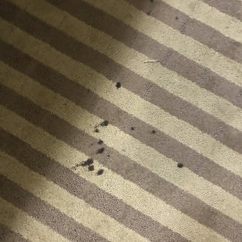 Quality Inn Mt. Pleasant - Carpet stains by the sink - Hotels Near Me - Mount Pleasant, Texas Quality Inn Mt. Pleasant - Carpet stains by the sink - Hotels Near Me - Mount Pleasant, Texas