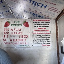 Strawberries Picked Fresh Daily