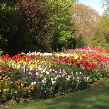 St James's Park - Gorgeous flower beds - Parks Near Me St James's Park - Gorgeous flower beds - Parks Near Me