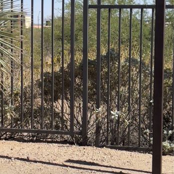 Venu At Grayhawk - Weeds up against property just fire hazard - Apartments Near Me - Scottsdale, Arizona Venu At Grayhawk - Weeds up against property just fire hazard - Apartments Near Me - Scottsdale, Arizona