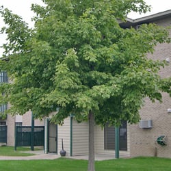 Westwind Apartments