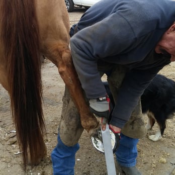 Ramon Gonzalez - Equine and Farrier Services - Horseback Riding Near Me - Morgan Hill, California