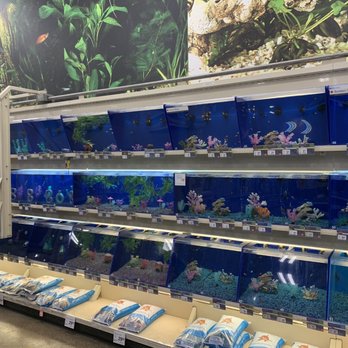 PetSmart - Pet Training Near Me - Las Vegas, Nevada PetSmart - Pet Training Near Me - Las Vegas, Nevada