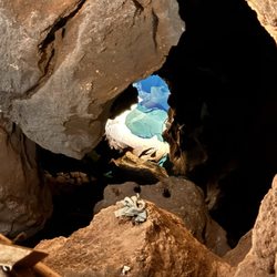 Black Chasm Cavern