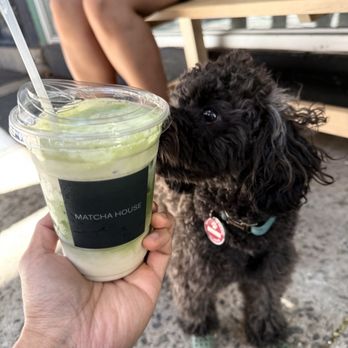 Matcha House - Matcha Cold Foam Matcha Latte - Coffee & Tea Near Me - New York, New York Matcha House - Matcha Cold Foam Matcha Latte - Coffee & Tea Near Me - New York, New York