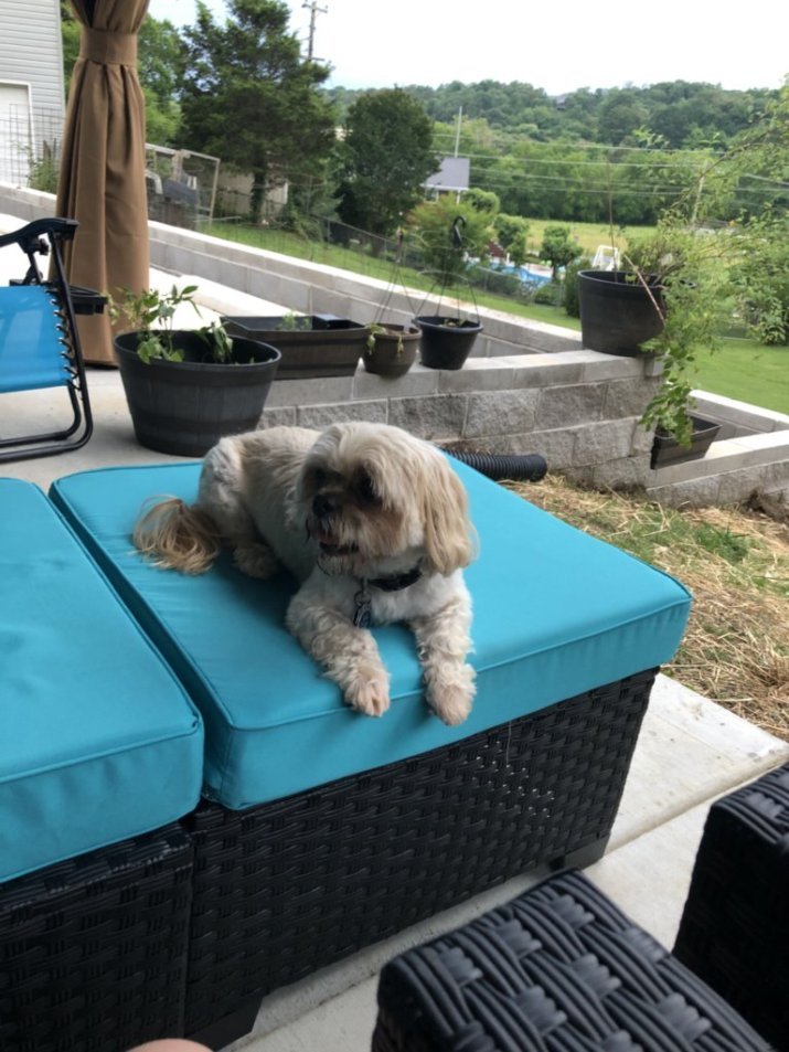 HOME TO ROAM Updated September 2024 3319 Oak Hill Dr, Maryville