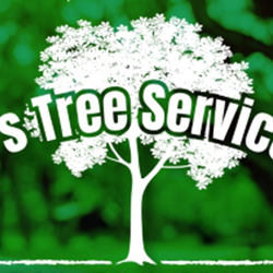 Shoe's Tree Service