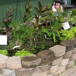 Prestige Landscaping LLC - Pond supplies & water plants at Prestige Landscaping LLC.