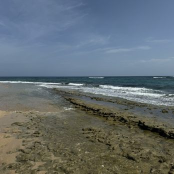 Tropical Trail Rides - Beach trail ride. - Tours Near Me - Isabela, Puerto Rico