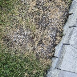 Lawn Doctor