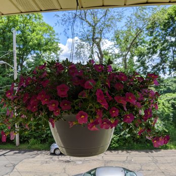 Brenckles Greenhouses - a hanging flower pot - Nurseries & Gardening Near Me - Pittsburgh, Pennsylvania
