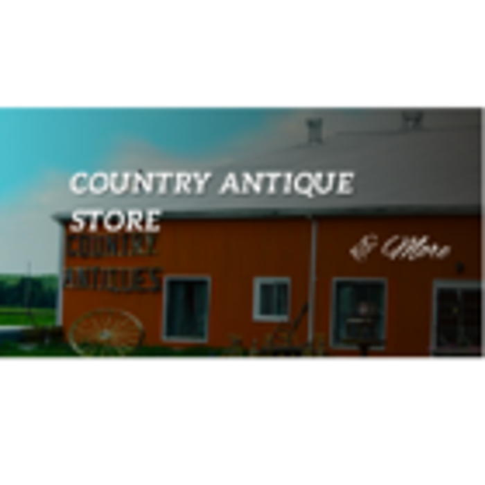 COUNTRY ANTIQUE STORE Updated September 2024 6595 Line 86, Elmira