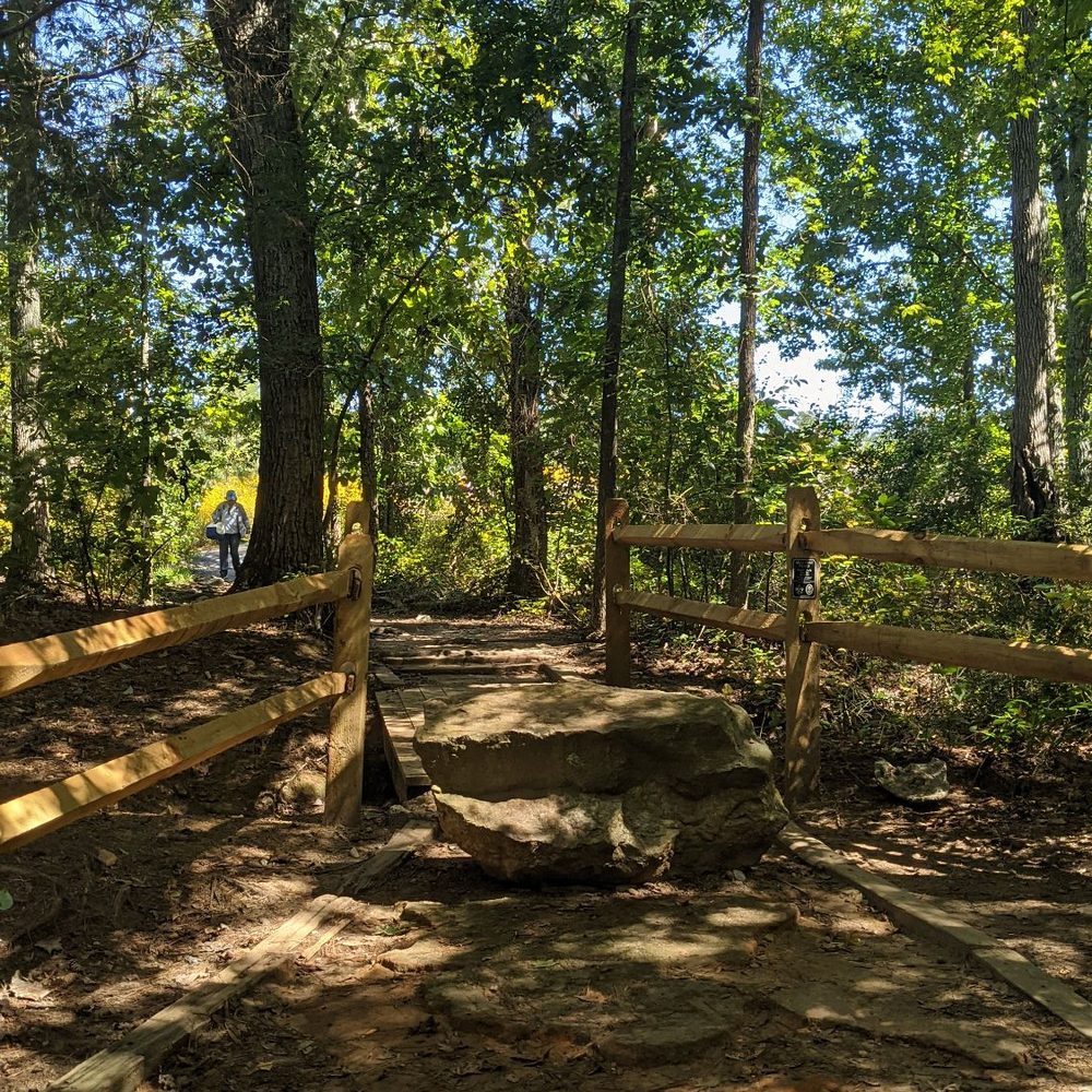Arabia Mountain Trail - Climbing Near Me - Lithonia, Georgia Arabia Mountain Trail - Climbing Near Me - Lithonia, Georgia