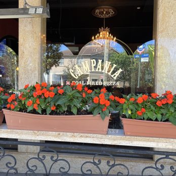 Campania Coal Fired Pizza - Pizza Near Me - Eltingville, New York