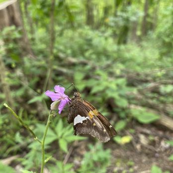 Cincinnati Nature Center - Hiking Near Me - Milford, Ohio Cincinnati Nature Center - Hiking Near Me - Milford, Ohio