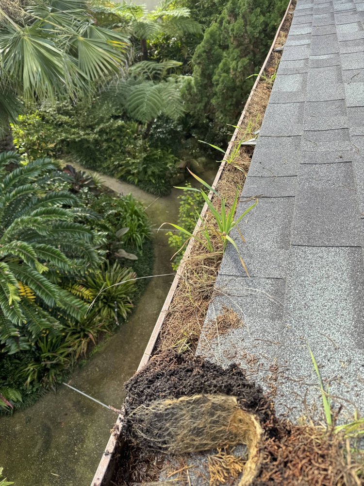 Slide of Spootless Roofing