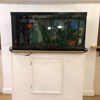 The Cotillion - FISHTANK WITH FISH INSIDE AT FRONT - Indian Near Me - Jericho, New York