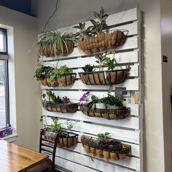 Coffee + Cream - Coffee & Tea Near Me - Livonia, Michigan