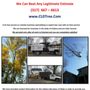 Photo of CLD Tree Services