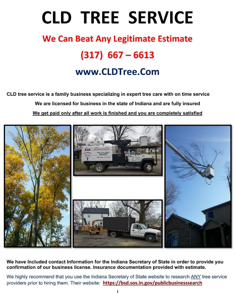 CLD TREE SERVICES 3330 W Southern Ave, Indianapolis, Indiana Tree