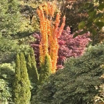 Halifax Public Gardens - Leaves changing - Botanical Gardens Near Me - Halifax, Nova Scotia