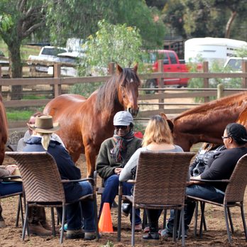 Healing Horse - Animal Assisted Therapy Near Me - Bonsall, California Healing Horse - Animal Assisted Therapy Near Me - Bonsall, California
