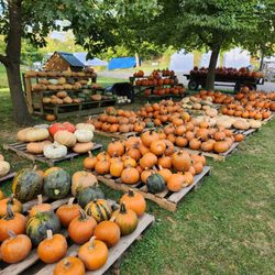 Gorman Heritage Farm