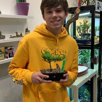 Sunny Bonsai - Nurseries & Gardening Near Me - Burnaby, British Columbia Sunny Bonsai - Nurseries & Gardening Near Me - Burnaby, British Columbia